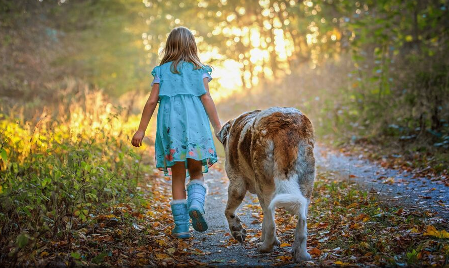 走失的2岁美国小女孩在森林中找到，狗狗当她的枕头