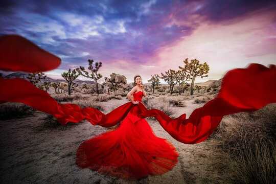 wow art wedding