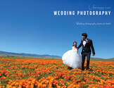 婚礼摄影 生命是蛋-Wedding Photography - Life iz Egg