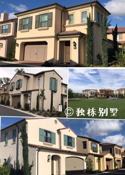 尔湾龙凤月子中心 诚招各地代理加盟