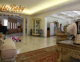 美国宝宝国际月子会所-abcbabyvip
