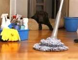 简洁清洁公司-Easy Cleaning Services