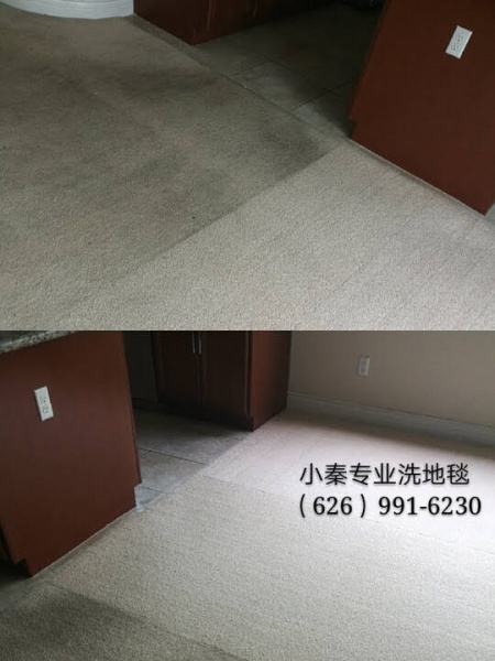 小秦专业洗地毯-Sun Shine CARPET CLEANERS SERVICES