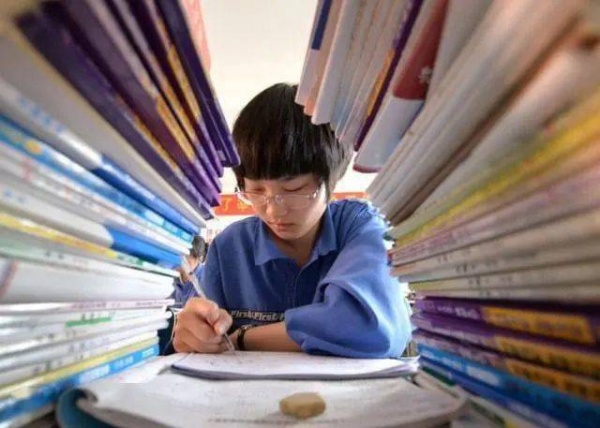 提供中小学各科课程辅导