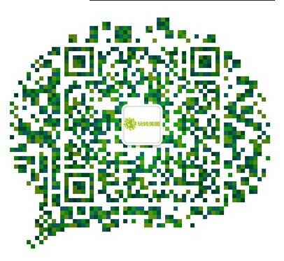 玩转美国旅游公司-jjviptour