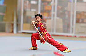 杨兵武术学院BING YANG MARTIAL ARTS ACADEMY