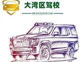  大湾区驾驶学校注册教练—Zane教练赞恩教练-Big Bay Area Driving School
