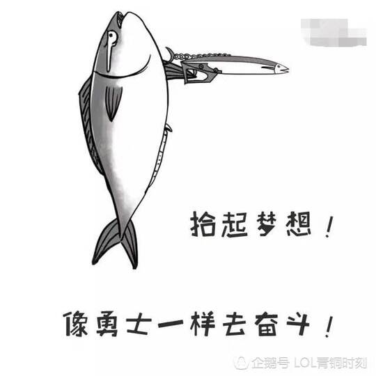 信誉至上-The supremacy of credibility