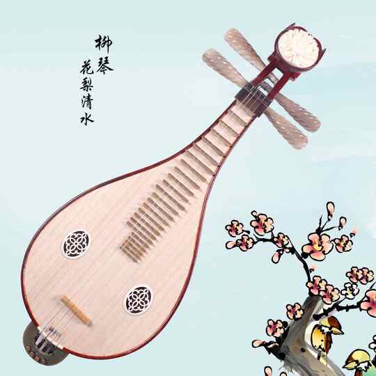   【民乐】西雅图一对一柳琴教学与陪练-Chinese Traditional Musical Instrument 民乐,民族乐器,教育培训,音乐,柳琴