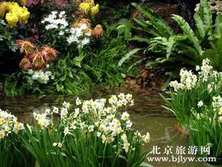      美西大自然田园绿化工程公司-EST COMPANY Nature Landscaping Works