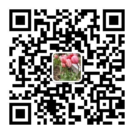 Clear 清洁公司