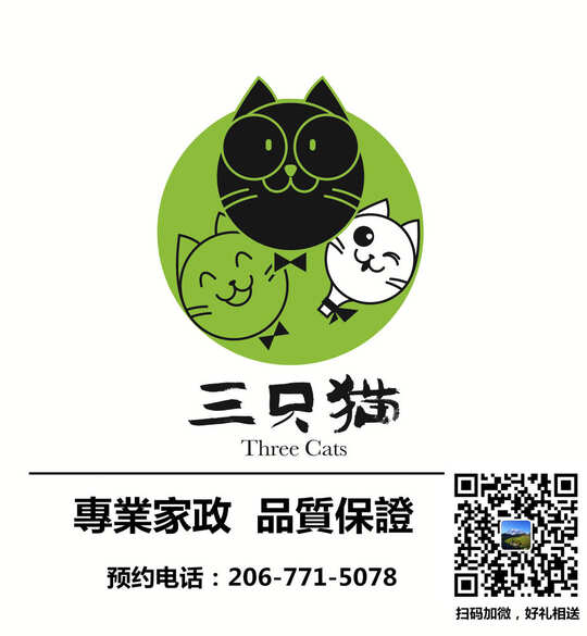 三只猫室内清洁-Three Cats Cleaning