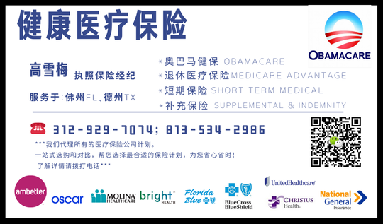 高雪梅- 医疗健康保险