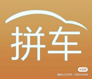 美国拼车