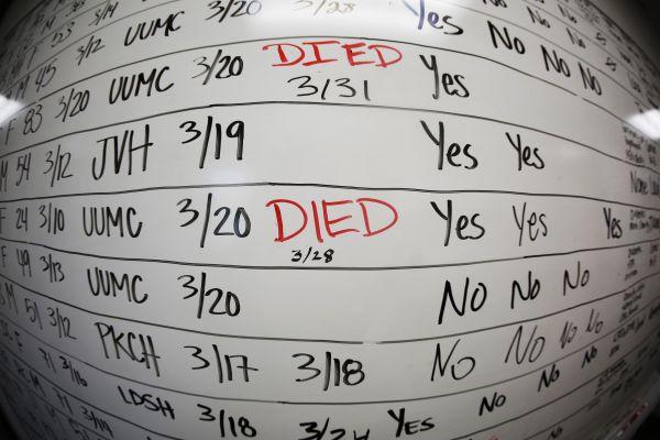 美媒质问：美国现在对大规模死亡容忍度这么高了吗？！