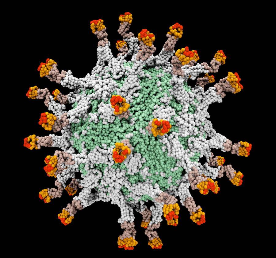 美国纽约州多地检测出脊髓灰质炎病毒 州长宣布该州进入灾难紧急状态