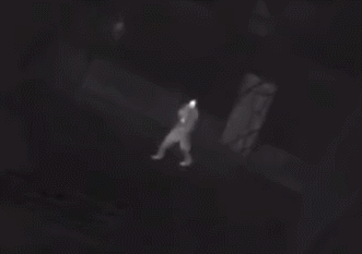 1674866378479926.gif 111.gif