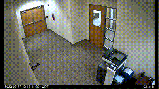 1679982638917832.gif videoplayback (1).gif
