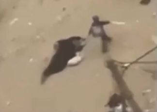 1706325836509460.png 4ab903e238204fd2f6c01669f2daf11.png