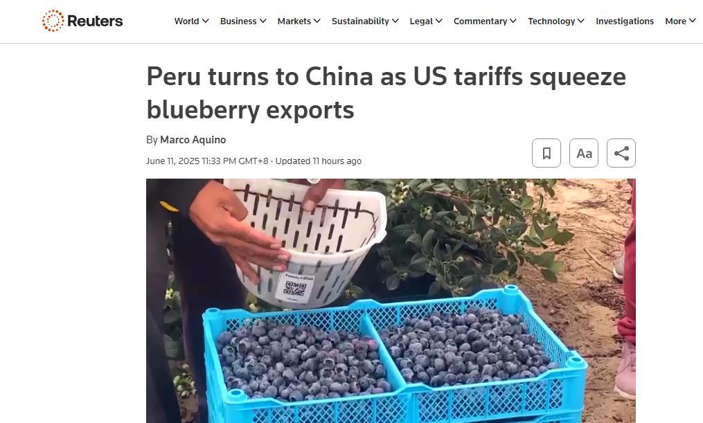 全球媒体聚焦丨美国超市蓝莓要涨价？秘鲁果农：中国市场真香！
